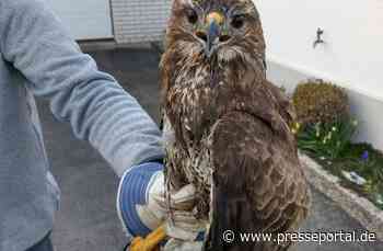 FW Lage: TH 0/Tierrettung - 02.04.2022