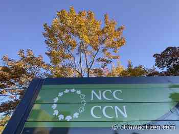 Egan: The NCC has a board, but maybe it needs a hammer and planks