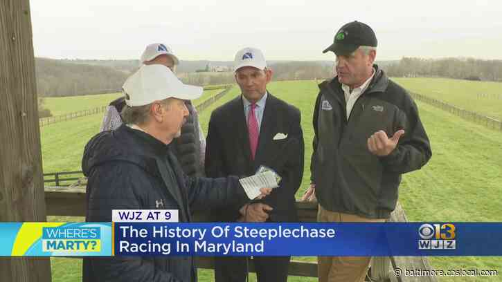 Where’s Marty? Learning About Steeplechase Racing At My Lady’s Manor