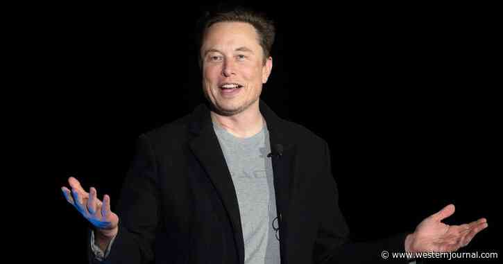Twitter Employees Sweating as New Shareholder Elon Musk Assumes Board of Directors Position