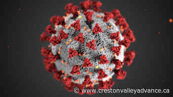 BC to end daily COVID case counts, shift to weekly reporting – Creston Valley Advance - Creston Valley Advance