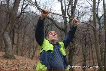 Marco Bellone, castanicoltore di Boves, suonatore di tromba e vicepresidente CIA si racconta - www.ideawebtv.it - Quotidiano on line della provincia di Cuneo - IdeaWebTv