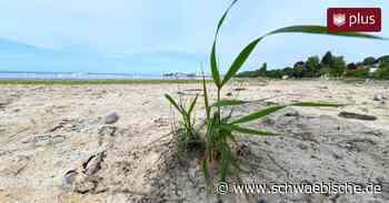 Klimaschutz Lindau: Bürger fordern Handeln der Stadt - Schwäbische