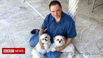 Pet cloning is getting more popular despite the cost