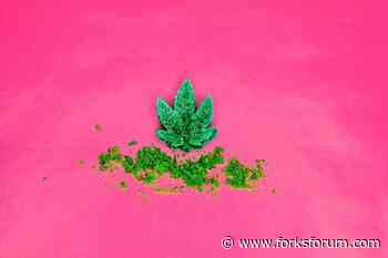 Best THC Gummies: Buy Weed Edibles & Delta 8 Gummies From Top Brands Of 2022| Most popular Hemp Gummies & THC Products On The Market| Delta 8 Gummies Near Me - Forks Forum