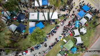 ICE lawyers told to dismiss low-priority cases