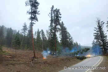 Power lines block Highway 6, spark fire near Lumby – Salmon Arm Observer - Salmon Arm Observer