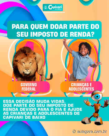 Capivari lança campanha bem-humorada para incentivar destinação do IR - Sul Agora