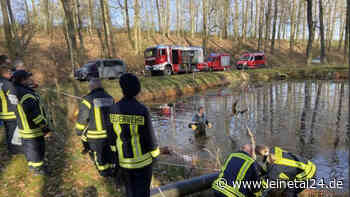 Unfall, Vandalismus, Diebstahl – und eine gute Nachricht - leinetal24.de