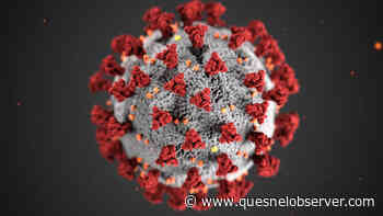 BC to end daily COVID case counts, shift to weekly reporting – Quesnel Cariboo Observer - Quesnel - Cariboo Observer