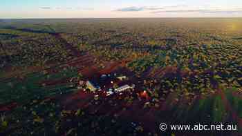 Mining billionaire 'Twiggy' Forrest snaps up Pilbara cattle stations for green energy production