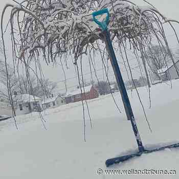 Another snowy blast blankets Port Colborne | wellandtribune.ca - Welland Tribune