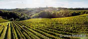 Osternest-Gewinnspiel Tag 03: Frühlingsbote Furmint – 3 Interpretationen im Weinpaket aus Stift Admonts Weingut Dveri Pax