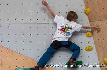 Jury kürt 20 Kooperationen zu Siegern - Heidelberg - Nachrichten und Informationen - Mannheimer Morgen