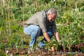 Orti urbani ad Agropoli: individuata nuova area - Info Cilento