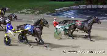 Ageless Paul MacKenzie nears 9000 life win barrier | Atlantic Post Calls - peicanada.com