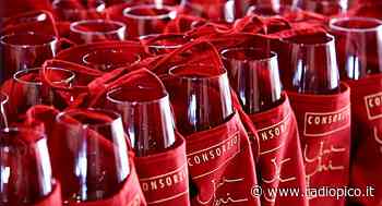 A Cerea torna ViniVeri - Radio Pico