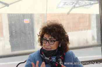 Pini, De Stasio (Prima Benevento): "Iniziare subito le cure per debellare cocciniglia" - anteprima24.it