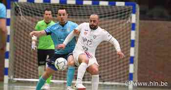 FT Antwerpen en coach Bachar verliezen met opgeheven hoofd tegen Halle-Gooik: “We hebben ons niet ingegraven” - Het Laatste Nieuws