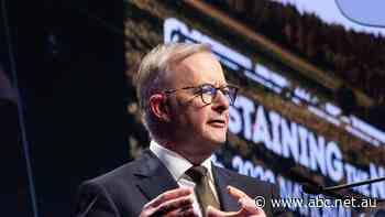 Albanese hints at permanent residency for foreign workers