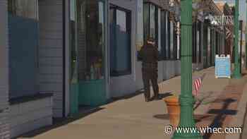 The Fleecing of America: Looting the Paycheck Protection Program