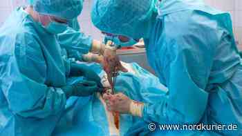 Erkranktes Personal bremst Kliniken in der Uckermark aus - Nordkurier