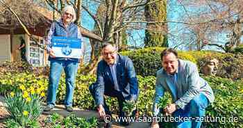 Neunkirchen Landrat und Bürgermeister pflanzen „Vergiss-Mein-Nicht“ um für Demenzerkrankungen zu sensibilisieren - Saarbrücker Zeitung