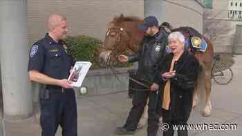 'Dusty' the police horse featured in brand new book