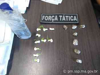 Drogas são apreendidas pela PMMA na BR – 316 em Bacabal • PM/MA - Polícia Militar do Maranhão - SSP/MA (.gov)