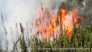 New Alberta fire permit portal, wildfire dashboard available - My Lloydminster Now