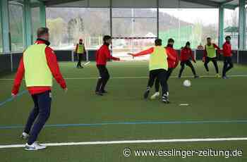 Fußball-Nachspiel - VfB Reichenbach: perfekt, aber torlos - esslinger-zeitung.de