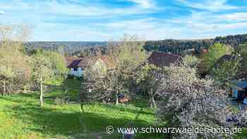 Wohnen in Bad Liebenzell: Tiny-Häuser sollen die Not lindern helfen
