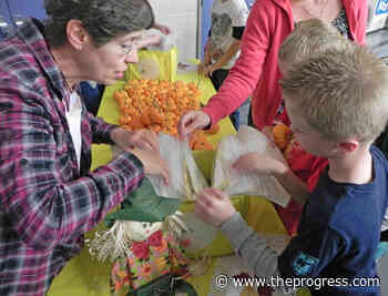 Register online for Chilliwack Schools Garden Program – Chilliwack Progress - Chilliwack Progress