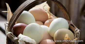 Donna Vaughan: Don't put eggs all in one basket when getting the right insurance in place - The Irish News