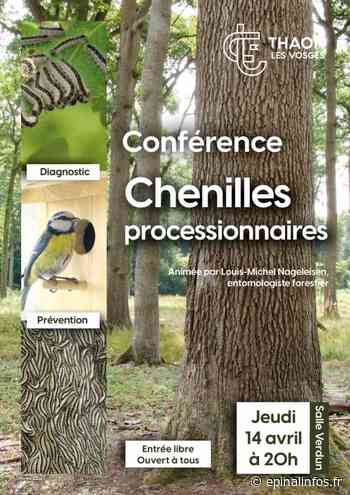 Thaon-lès-Vosges - Conférence sur les chenilles processionnaires - Epinal infos - Epinal Infos