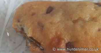 Girl, six, hysterical after finding large insect in Aldi cake bar - Hull Live