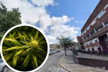 Greenwich man caught with cocaine and cannabis