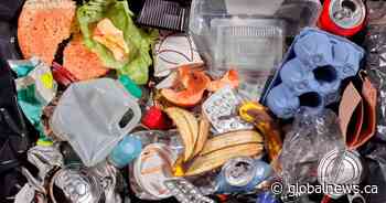 City of Edmonton takes step forward on single-use item ban - Global News