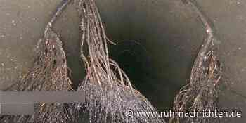 49 Prozent an private Firma: Gemeinde Ascheberg gründet Abwassergesellschaft | Ascheberg - Ruhr Nachrichten