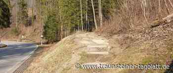 Alle Wanderwege im Stadtgebiet sind offen - Traunsteiner Tagblatt