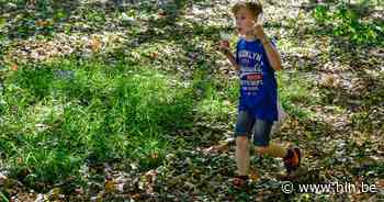 De Paashaas komt op 9 april naar Heers. Kan jij alle eitjes vinden? - Het Laatste Nieuws