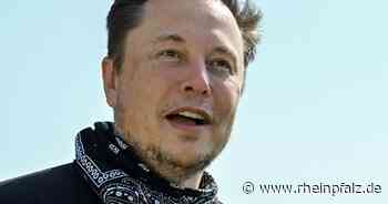 Elon Musk kommt in Twitter-Verwaltungsrat - Wirtschaft - Rheinpfalz.de