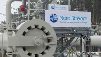 Alternativen zum Energieboykott: Putin treffen, ohne unsere Wirtschaft zu zerstören - n-tv NACHRICHTEN