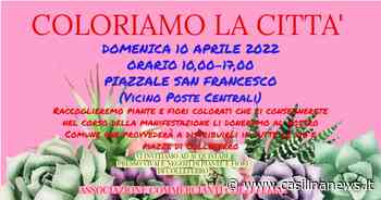 Coloriamo la città, a Colleferro un evento benefico per amanti di piante e - Casilina News