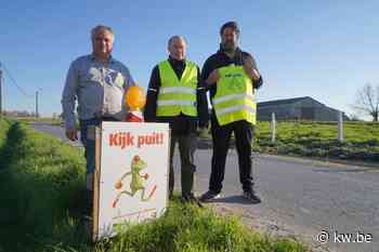 Filip Desplenter en Peter Ghillemyn uit Meulebeke fungeren als paddenklaar-overs - KW.be - KW.be