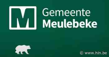 Meulebeke lanceert nieuwe huisstijl: “Fier om een Meulebeekse beer te zijn” - Het Laatste Nieuws