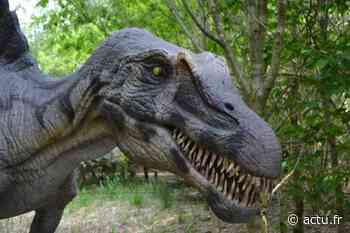 Des dinosaures vont être installés près de Nancy : voici où et pourquoi - Lorraine Actu