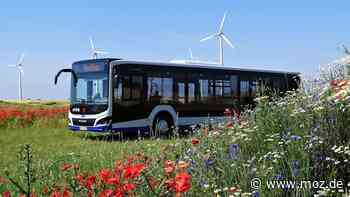 Bus im Havelland: Nauen, Friesack, Rathenow und Nennhausen – bis November 2022 mit Havelbus auf Rundtour - Märkische Onlinezeitung