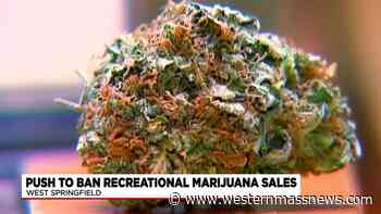 West Springfield mayor wants to bring in retail cannabis to increase tax revenue - Western Massachusetts News