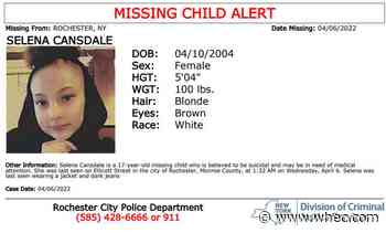 Missing Child Alert: 17-year-old Selena Cansdale of Rochester